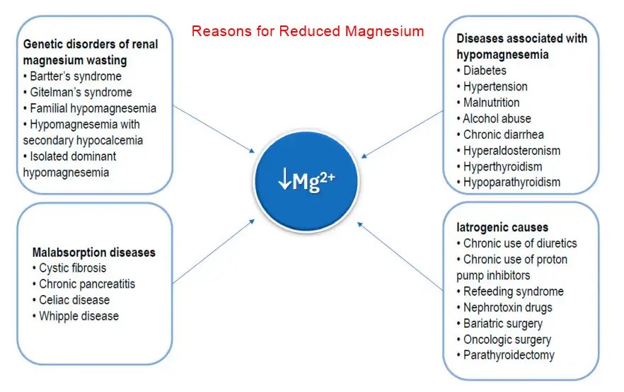 Reasons Reduced Magnesium